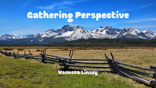 Gathering Perspective